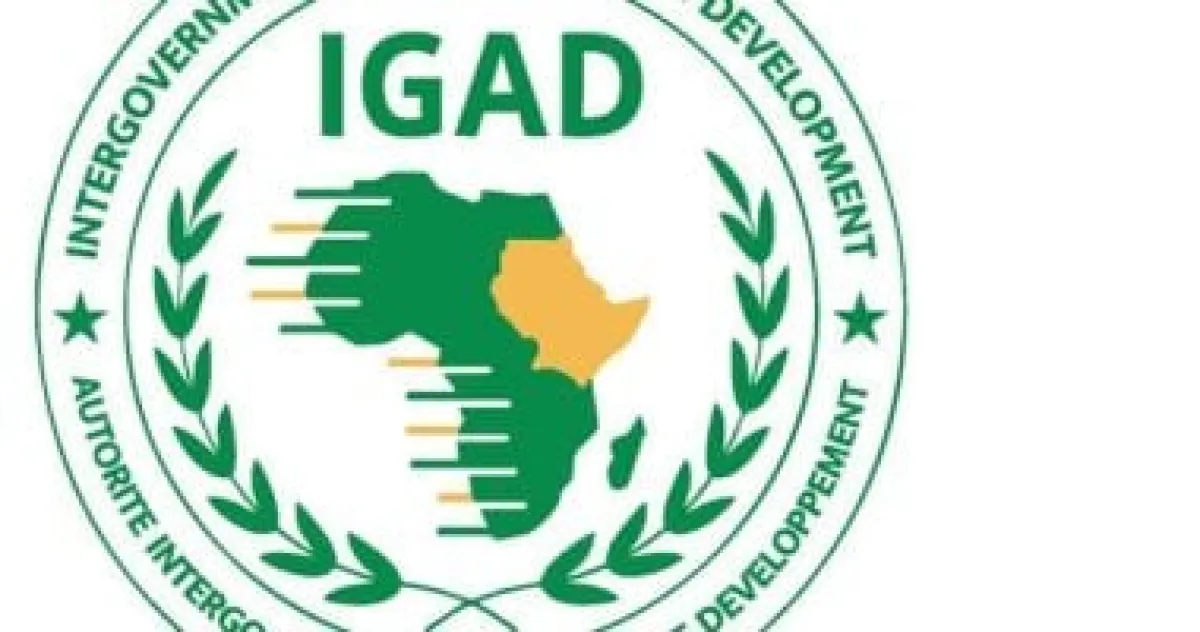 إيجاد والاتحاد الأفريقي يعززان التنسيق لدفع جهود السلام والأمن الإقليميين