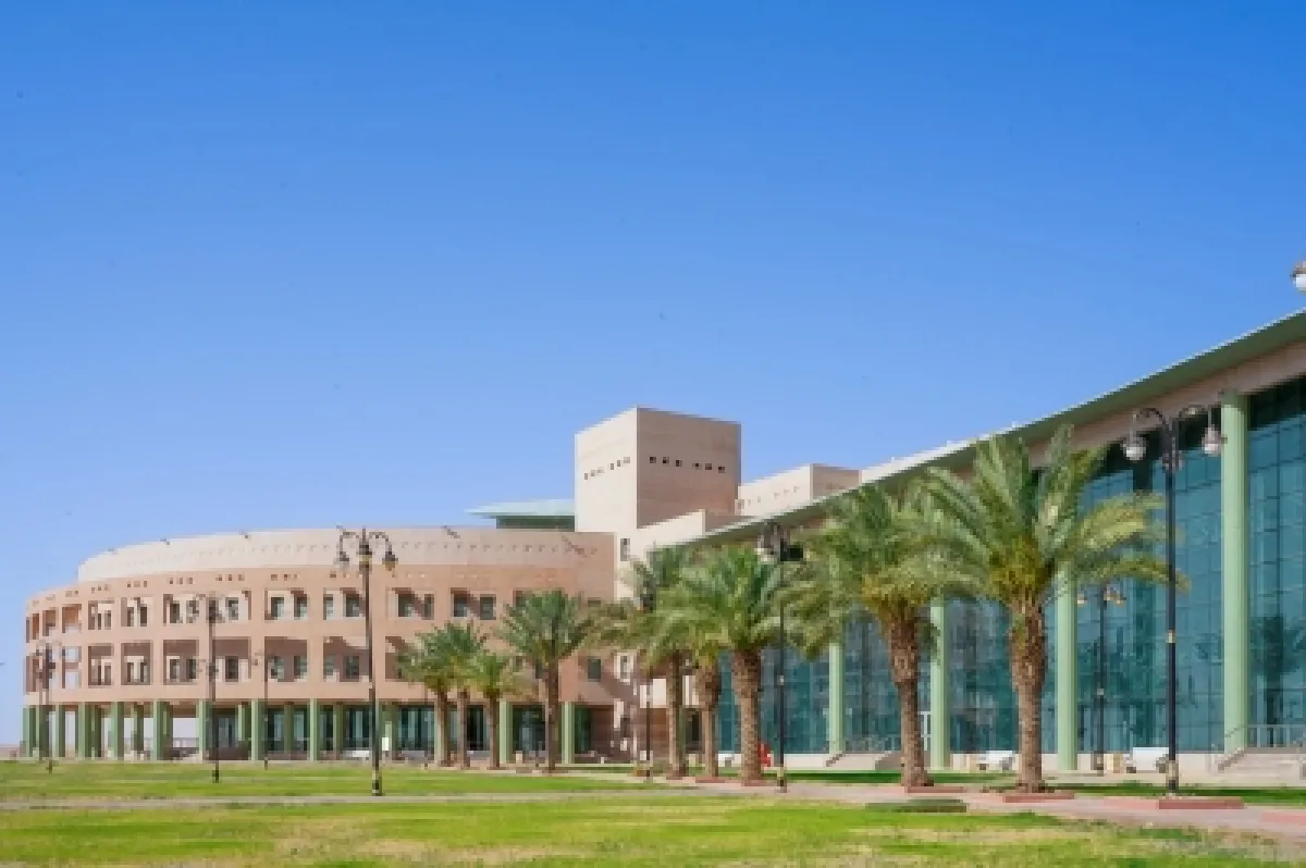 خوارزمية ذكية تعزز دقة موثوقية الخلايا الشمسية