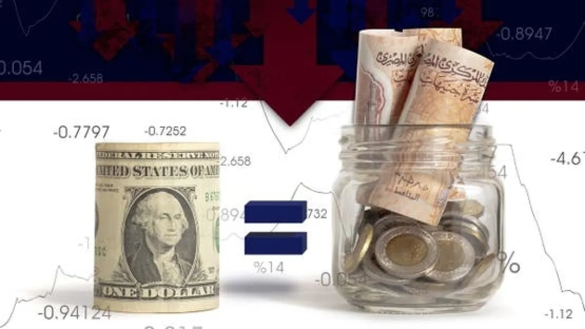 الدولار يتجاوز 52 جنيهاً في مصر وسط تقلبات مستمرة
