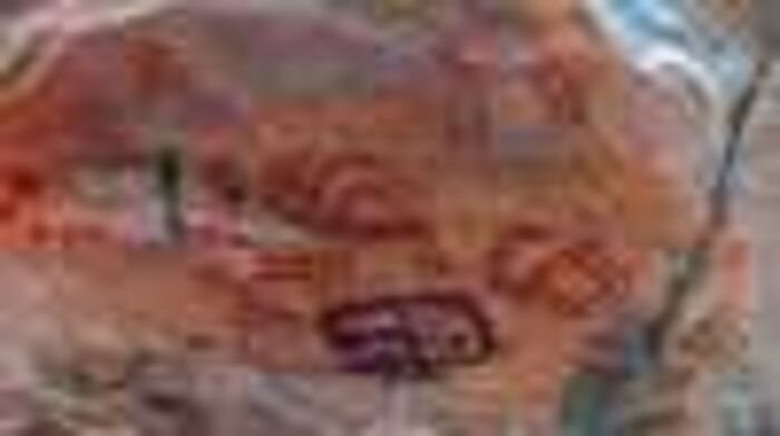 عمره آلاف السنين..اكتشاف موقع أثري للفن الصخري في جنوب سيناء